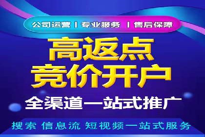 竞价推广策略解析，代运营公司的成功故事分享